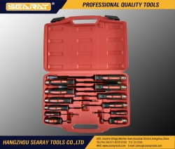 SR3024-12pc screwdriver set